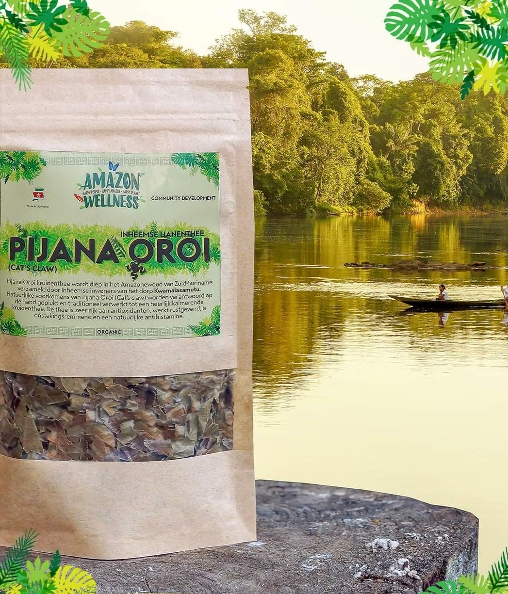 Pijana Oroi – Inheemse lianenthee