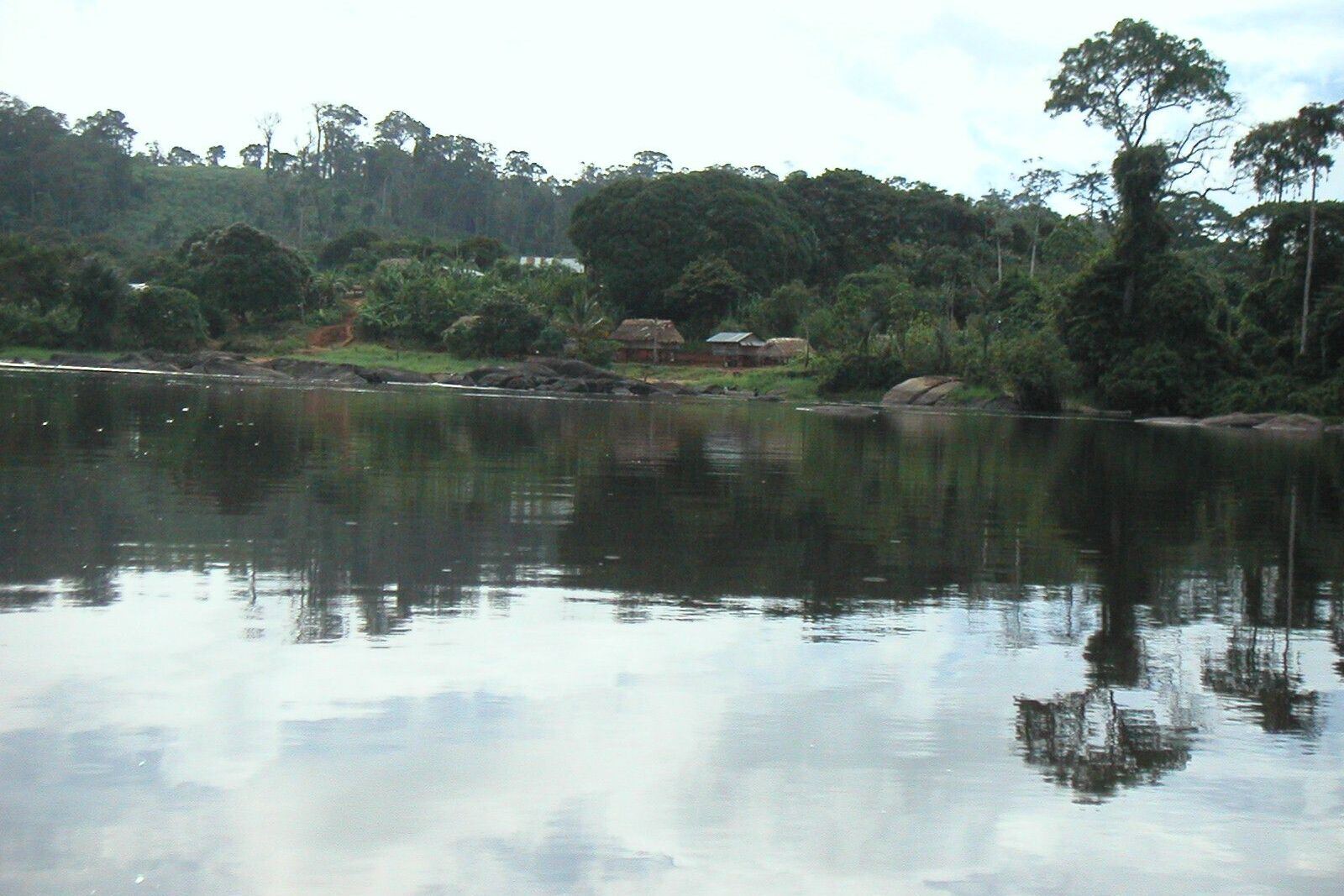 Rivierdorp aan de bosrand, met daken tussen de bomen en spiegelend water.